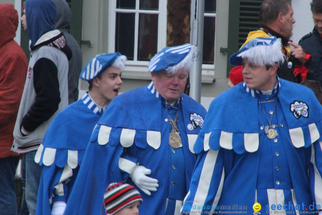 Fasnetsumzug - Fasching: Langenargen am Bodensee, 10.01.2016