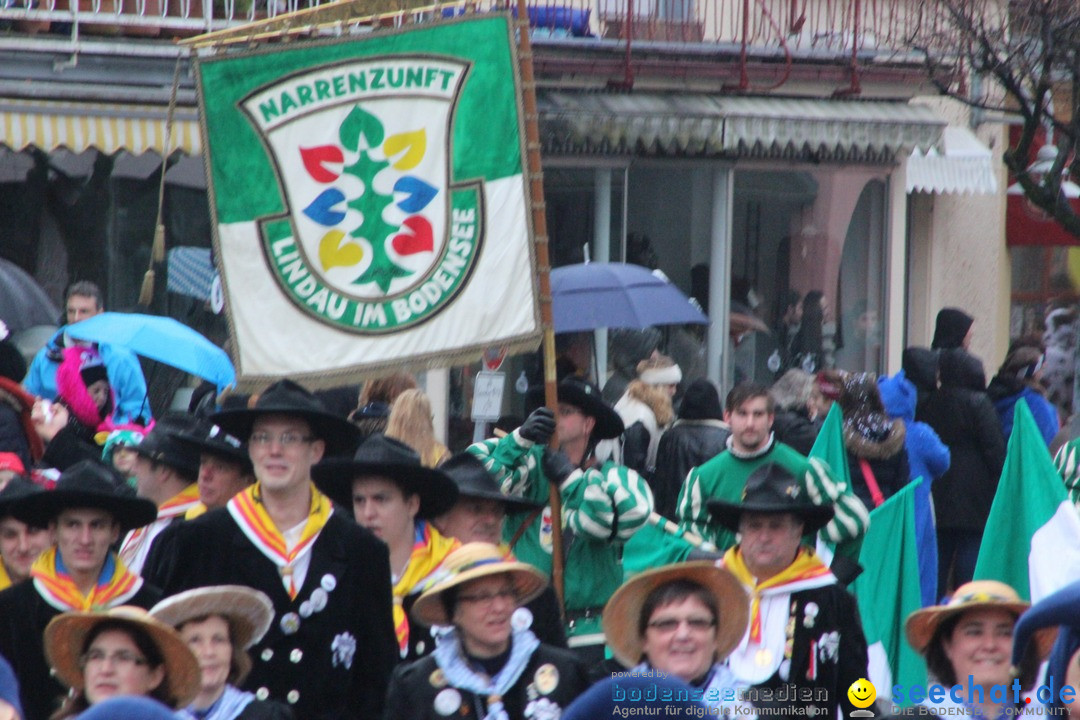 Fasnetsumzug - Fasching: Langenargen am Bodensee, 10.01.2016