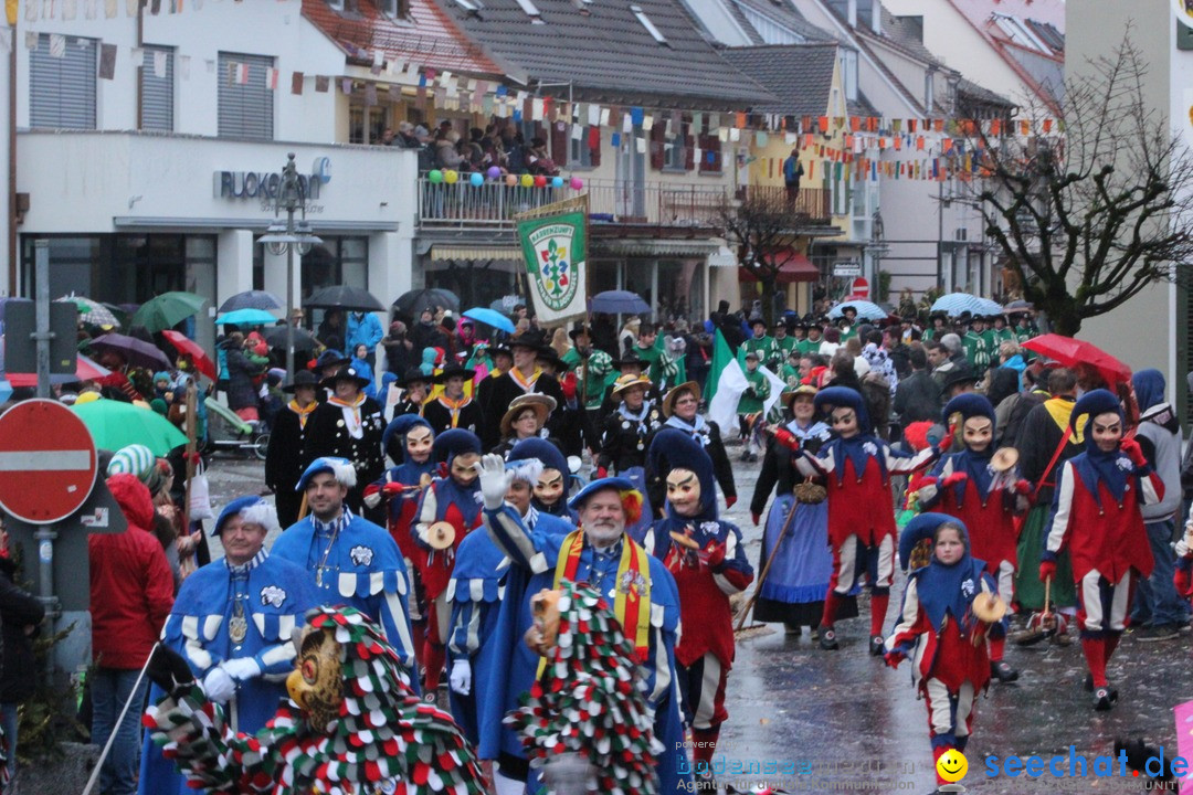 Fasnetsumzug - Fasching: Langenargen am Bodensee, 10.01.2016