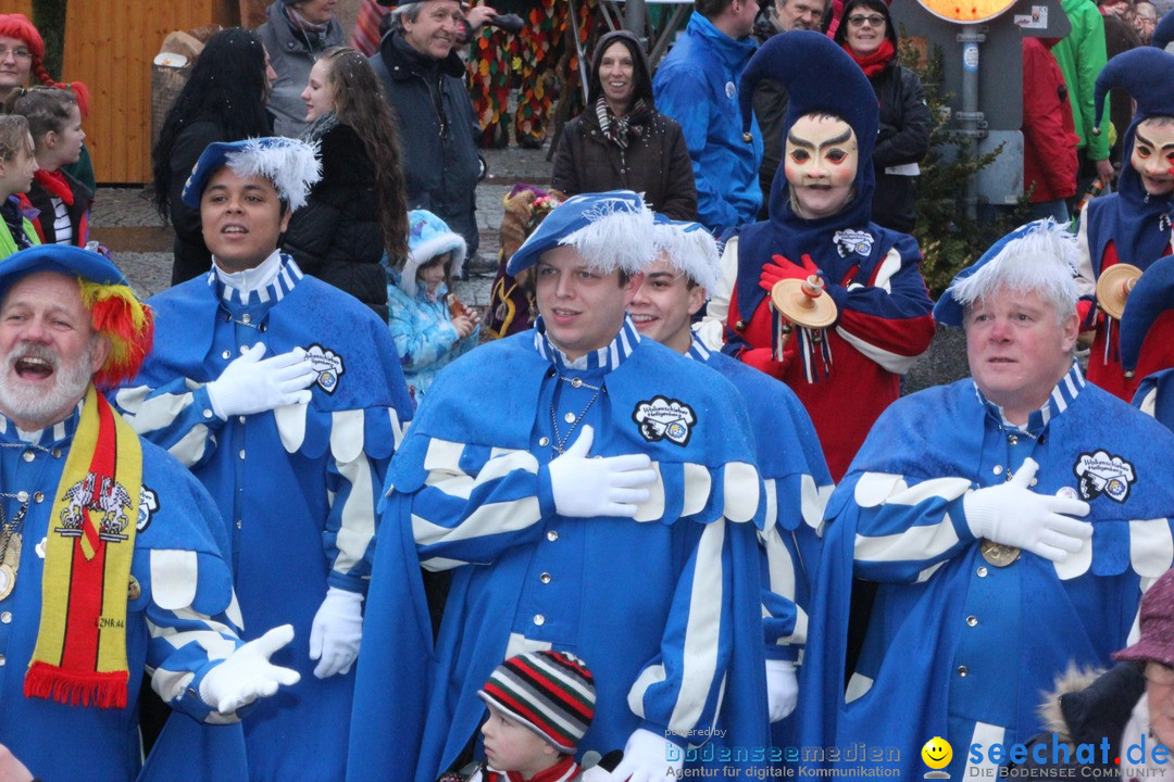 Fasnetsumzug - Fasching: Langenargen am Bodensee, 10.01.2016