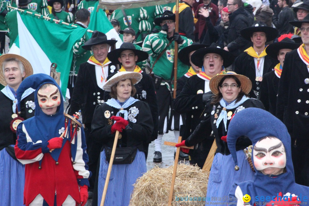 Fasnetsumzug - Fasching: Langenargen am Bodensee, 10.01.2016