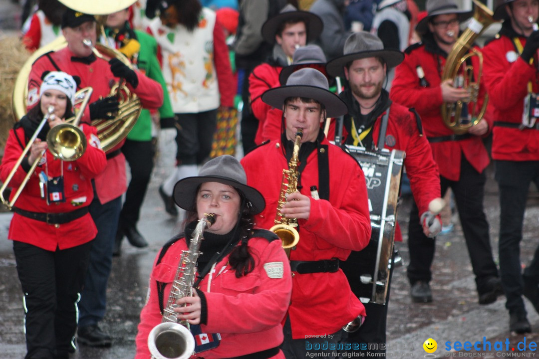 Fasnetsumzug - Fasching: Langenargen am Bodensee, 10.01.2016