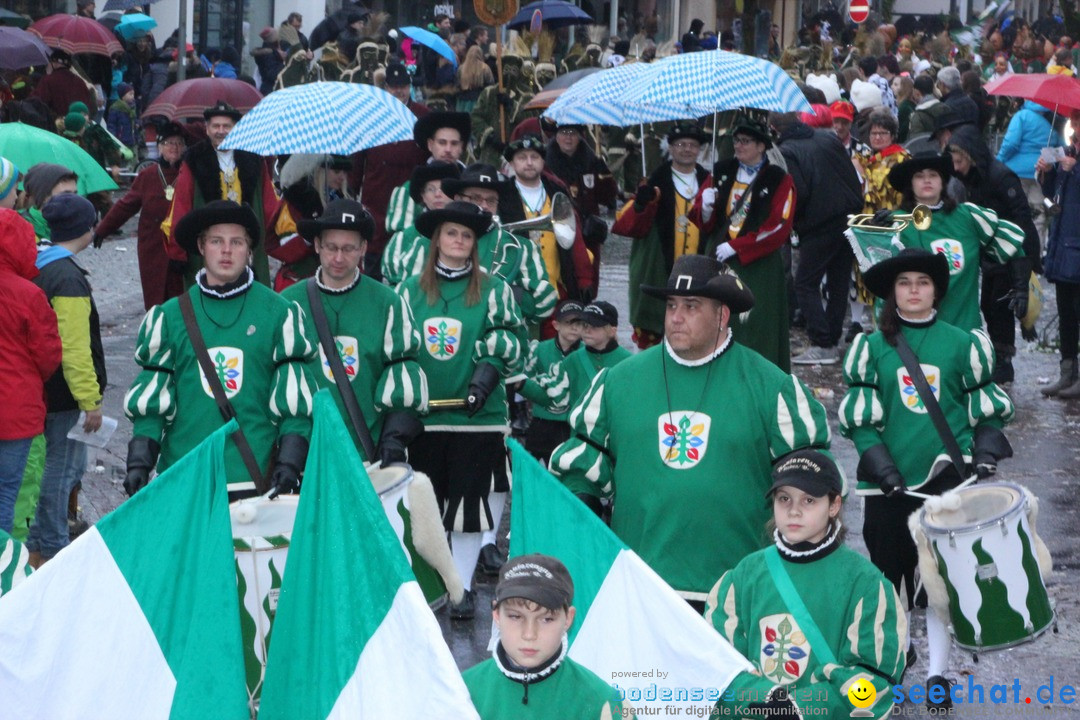 Fasnetsumzug - Fasching: Langenargen am Bodensee, 10.01.2016