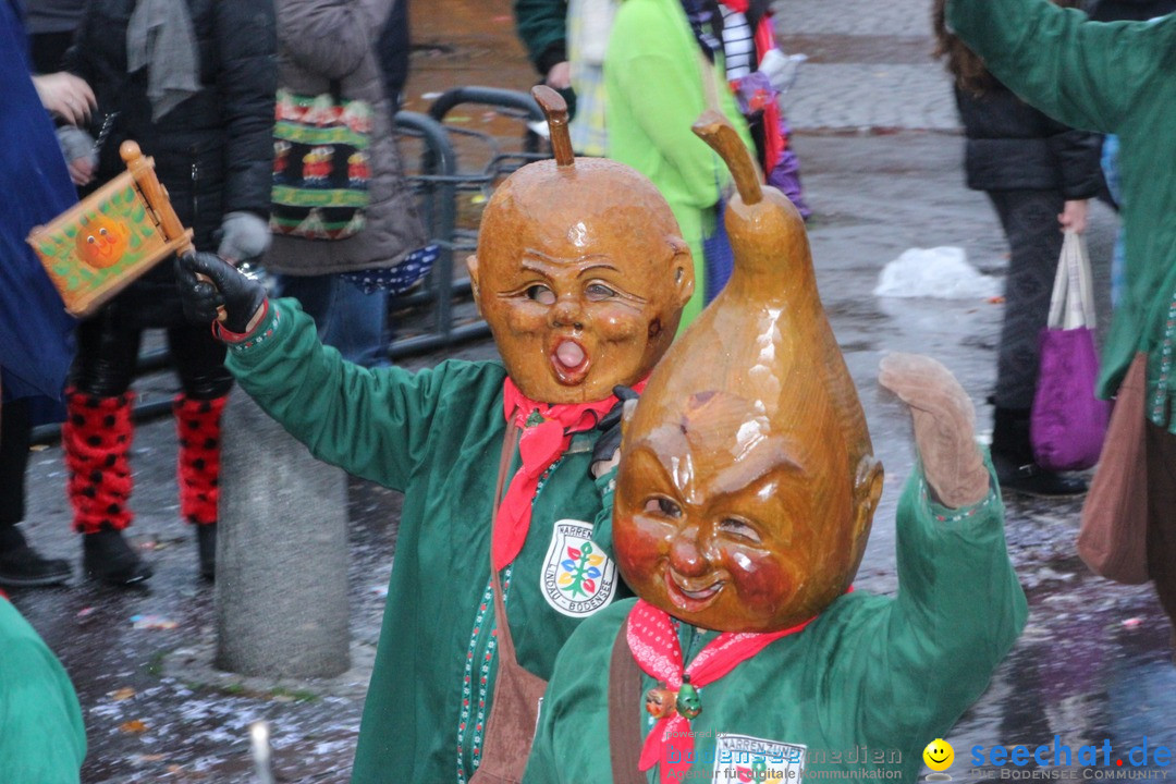 Fasnetsumzug - Fasching: Langenargen am Bodensee, 10.01.2016