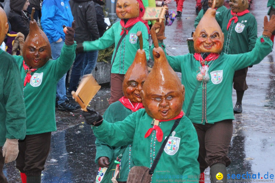 Fasnetsumzug - Fasching: Langenargen am Bodensee, 10.01.2016