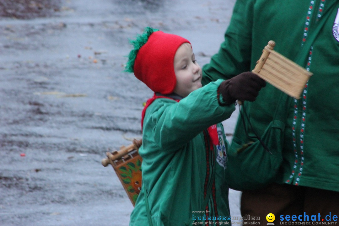 Fasnetsumzug - Fasching: Langenargen am Bodensee, 10.01.2016