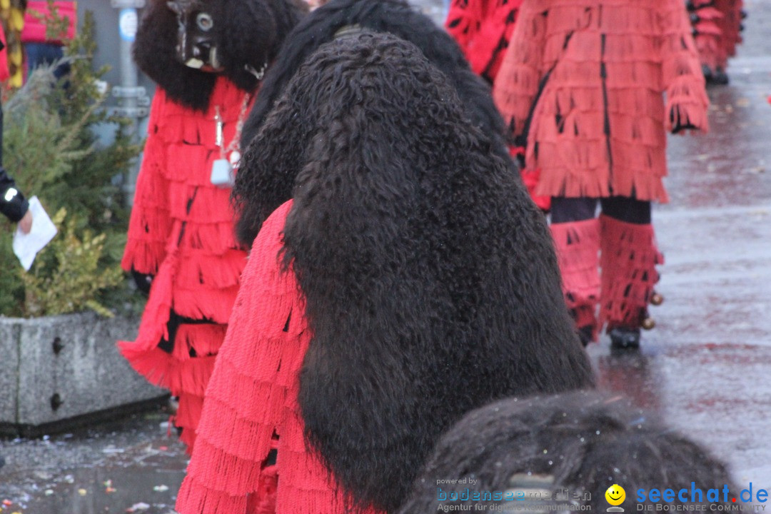 Fasnetsumzug - Fasching: Langenargen am Bodensee, 10.01.2016