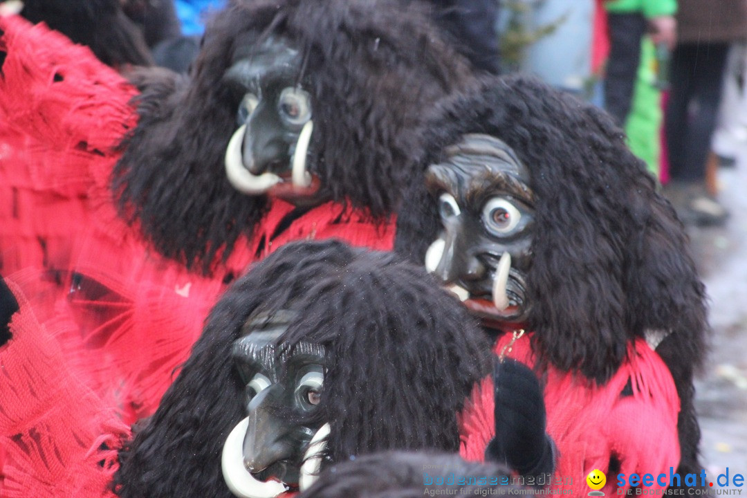 Fasnetsumzug - Fasching: Langenargen am Bodensee, 10.01.2016