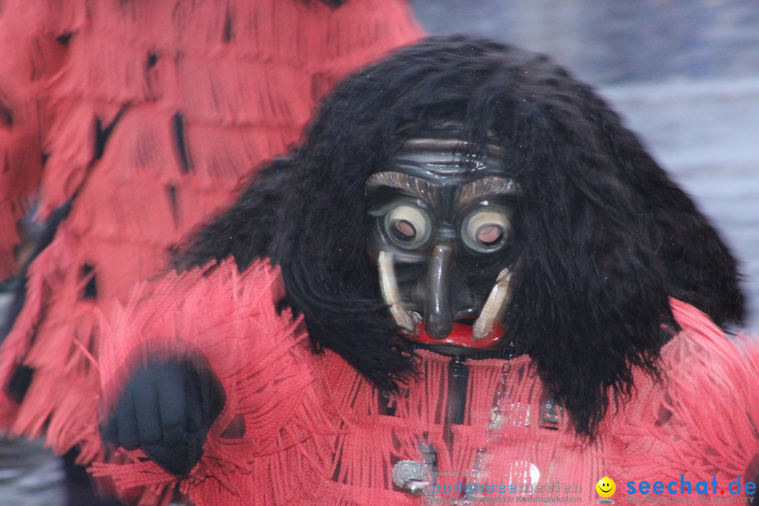 Fasnetsumzug - Fasching: Langenargen am Bodensee, 10.01.2016