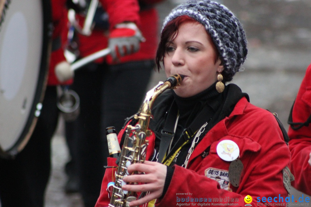 Fasnetsumzug - Fasching: Langenargen am Bodensee, 10.01.2016