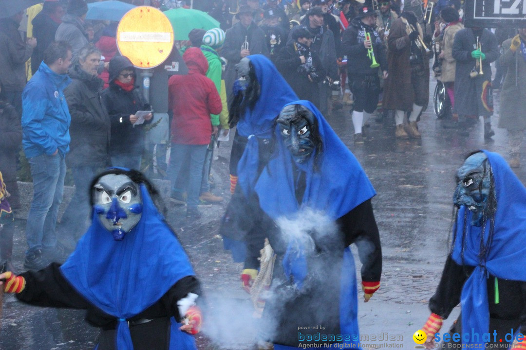 Fasnetsumzug - Fasching: Langenargen am Bodensee, 10.01.2016