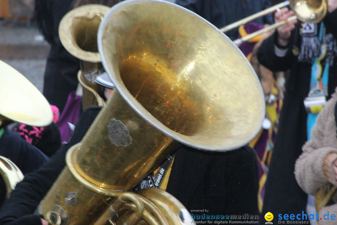 Fasnetsumzug - Fasching: Langenargen am Bodensee, 10.01.2016