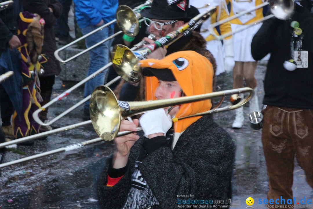 Fasnetsumzug - Fasching: Langenargen am Bodensee, 10.01.2016