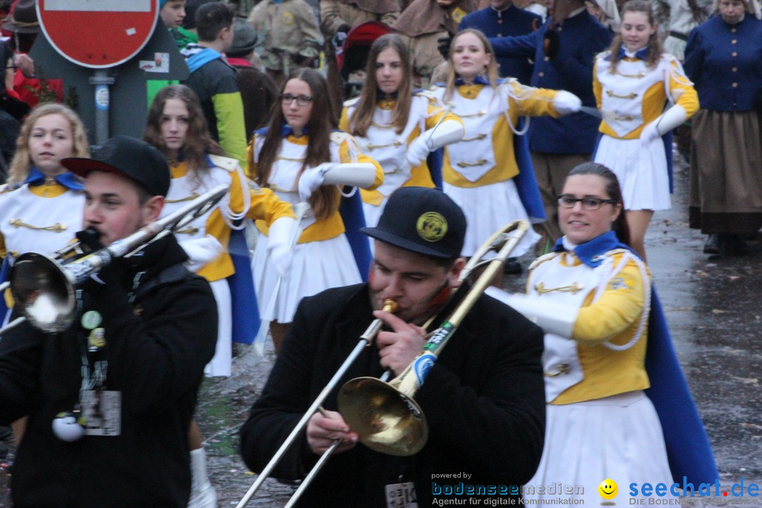 Fasnetsumzug - Fasching: Langenargen am Bodensee, 10.01.2016