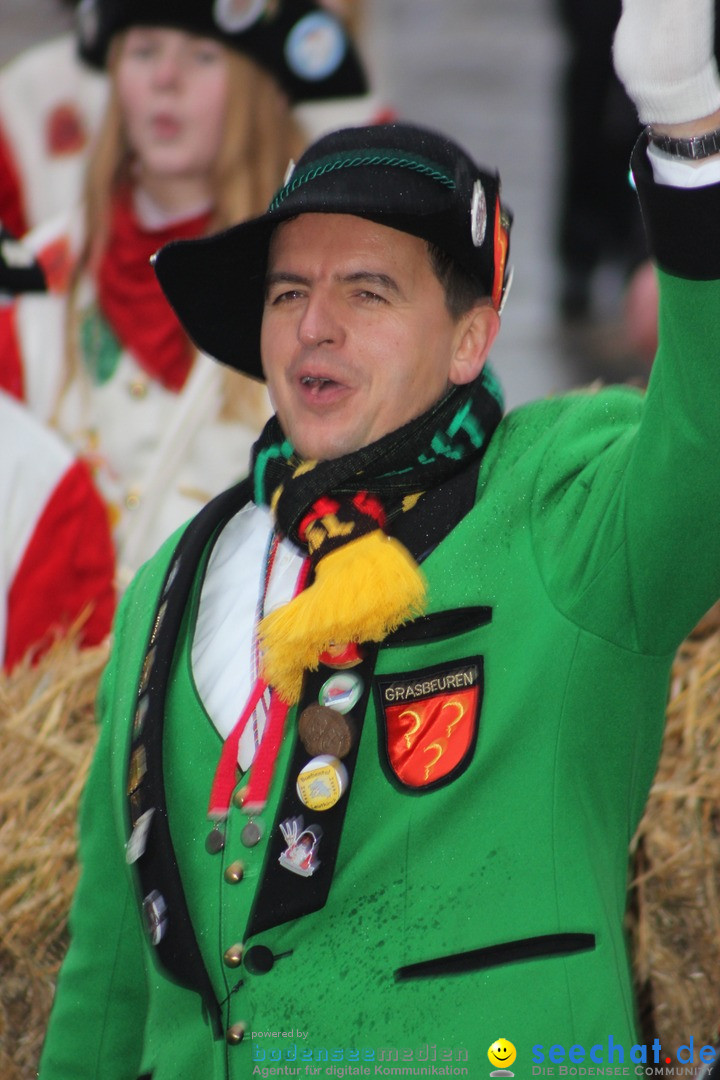 Fasnetsumzug - Fasching: Langenargen am Bodensee, 10.01.2016