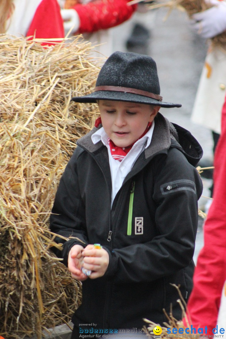 Fasnetsumzug - Fasching: Langenargen am Bodensee, 10.01.2016