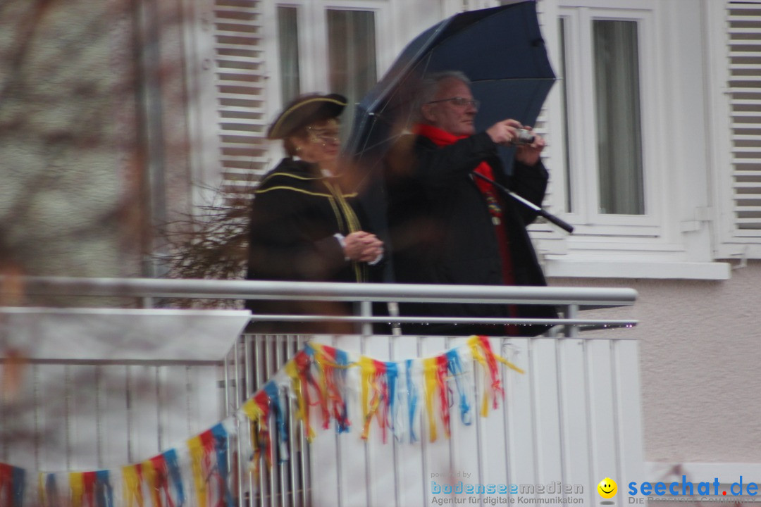 Fasnetsumzug - Fasching: Langenargen am Bodensee, 10.01.2016