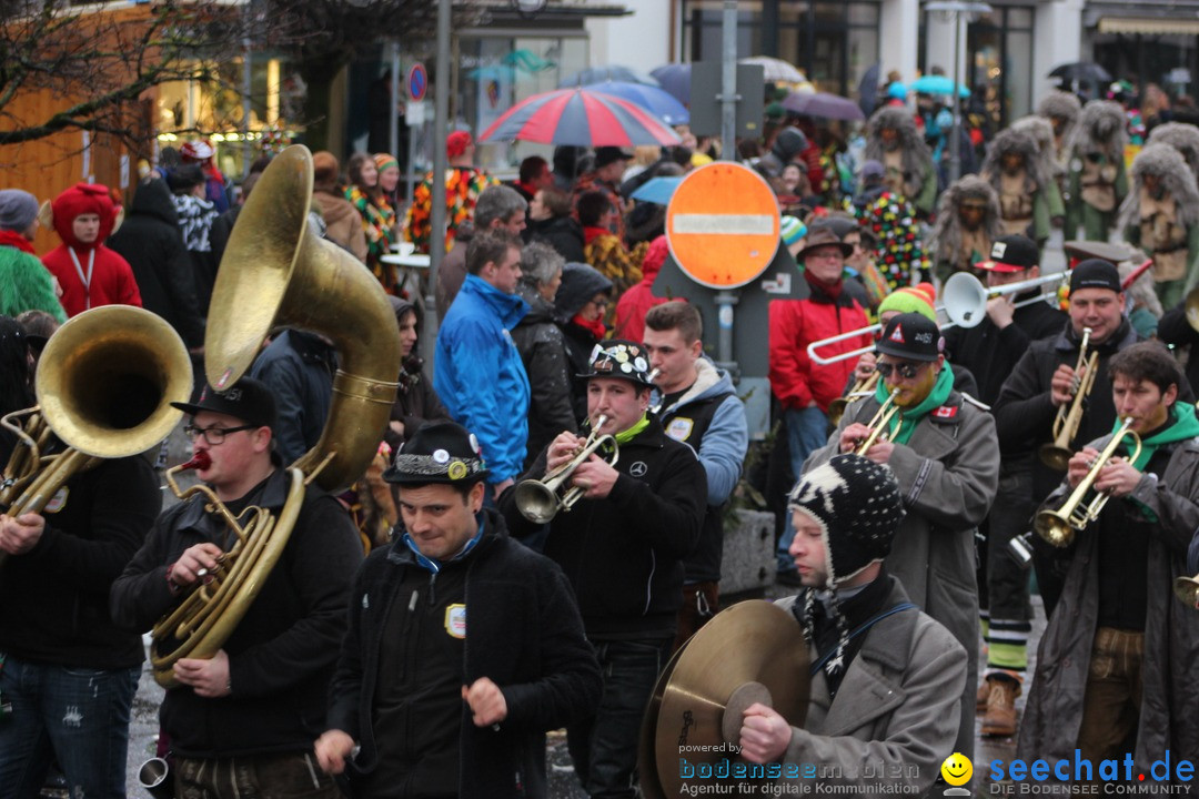 Fasnetsumzug - Fasching: Langenargen am Bodensee, 10.01.2016