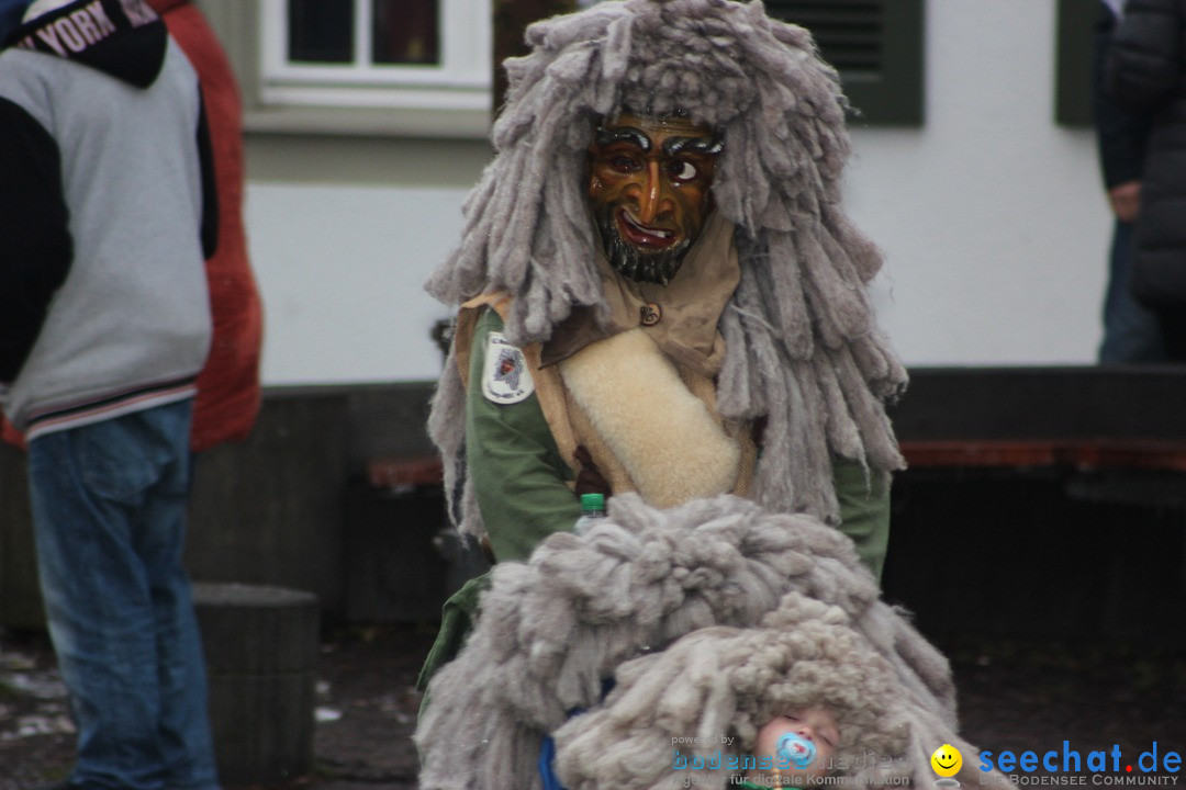 Fasnetsumzug - Fasching: Langenargen am Bodensee, 10.01.2016