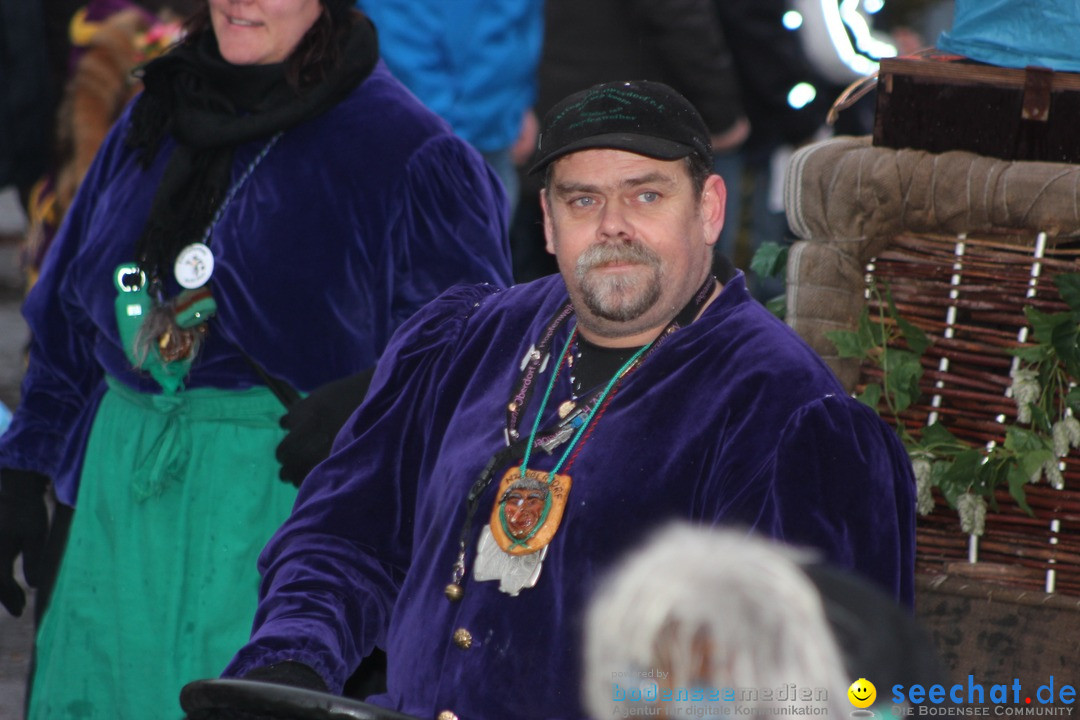 Fasnetsumzug - Fasching: Langenargen am Bodensee, 10.01.2016