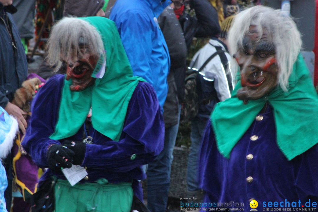 Fasnetsumzug - Fasching: Langenargen am Bodensee, 10.01.2016