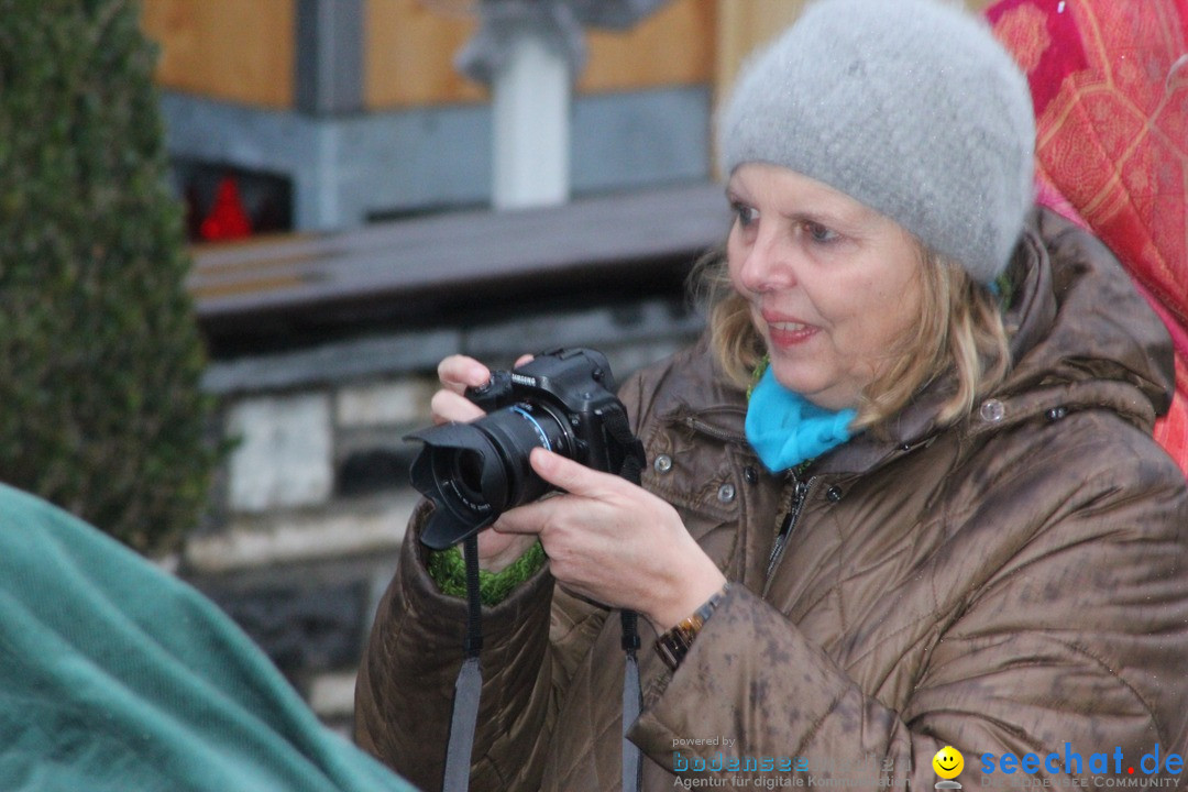 Fasnetsumzug - Fasching: Langenargen am Bodensee, 10.01.2016