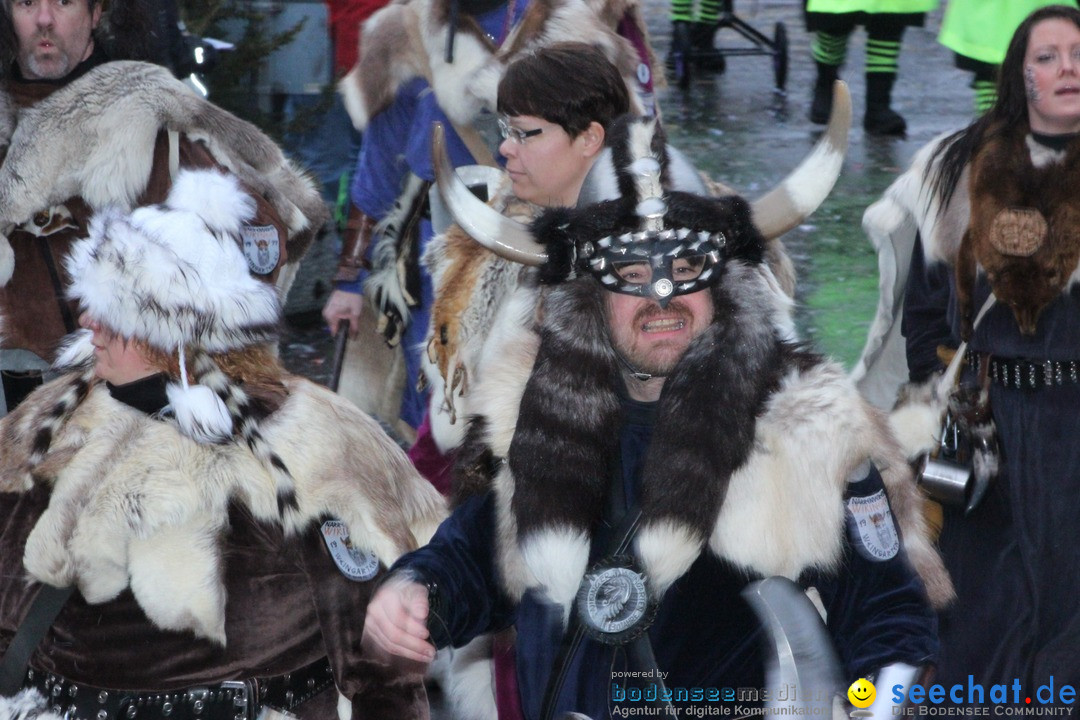 Fasnetsumzug - Fasching: Langenargen am Bodensee, 10.01.2016