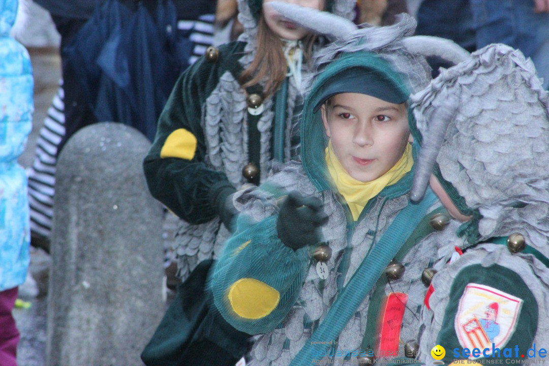 Fasnetsumzug - Fasching: Langenargen am Bodensee, 10.01.2016