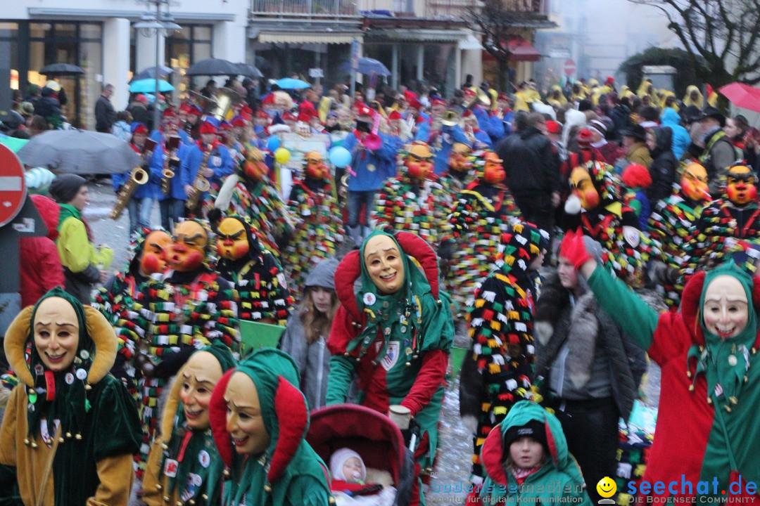 Fasnetsumzug - Fasching: Langenargen am Bodensee, 10.01.2016