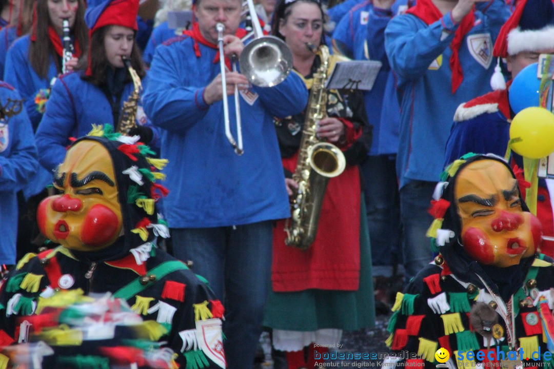 Fasnetsumzug - Fasching: Langenargen am Bodensee, 10.01.2016