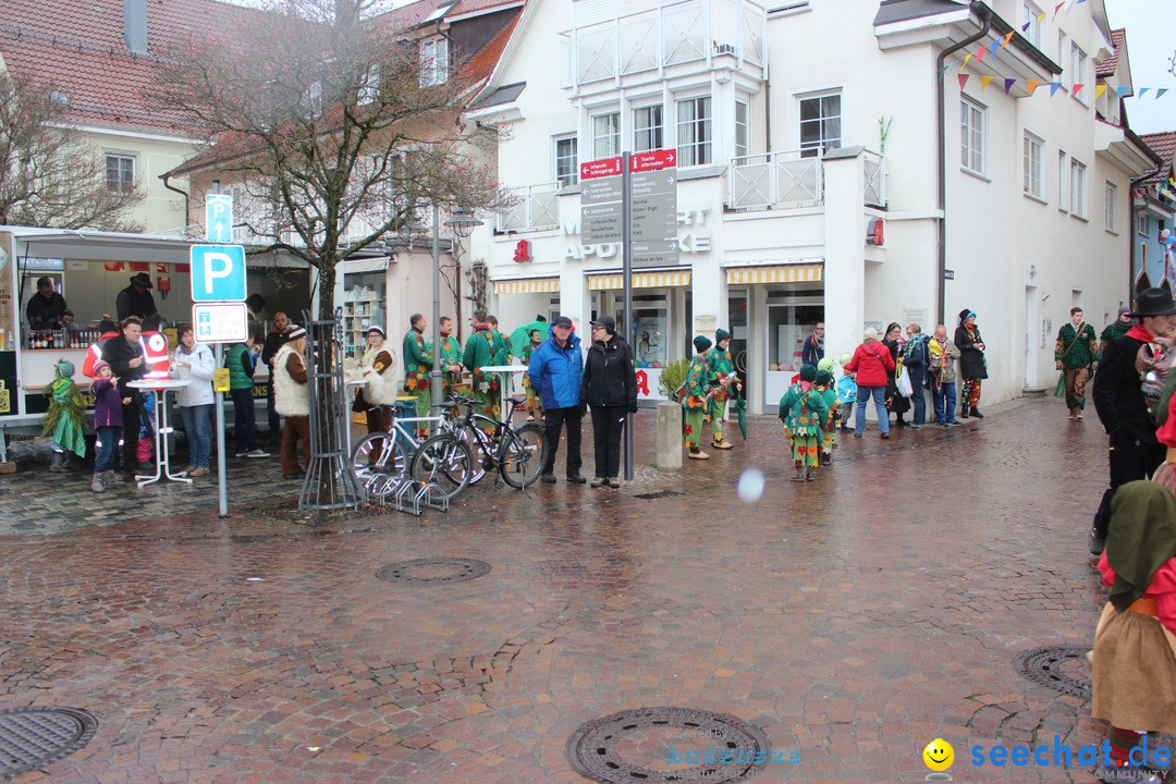 Fasnetsumzug - Fasching: Langenargen am Bodensee, 10.01.2016