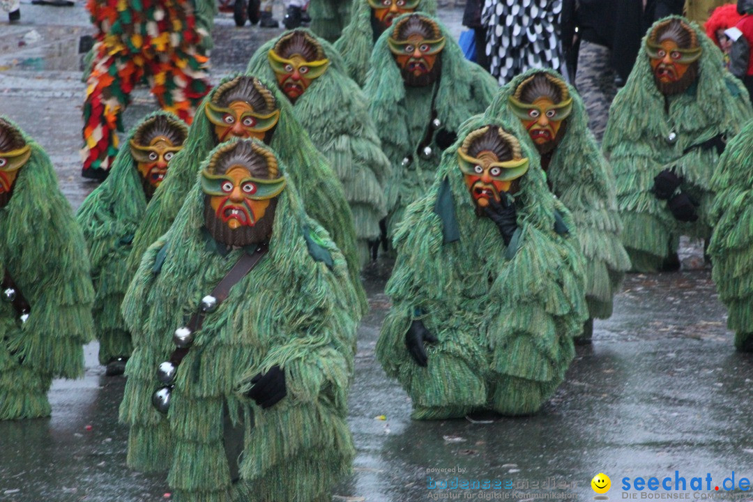 Fasnetsumzug - Fasching: Langenargen am Bodensee, 10.01.2016