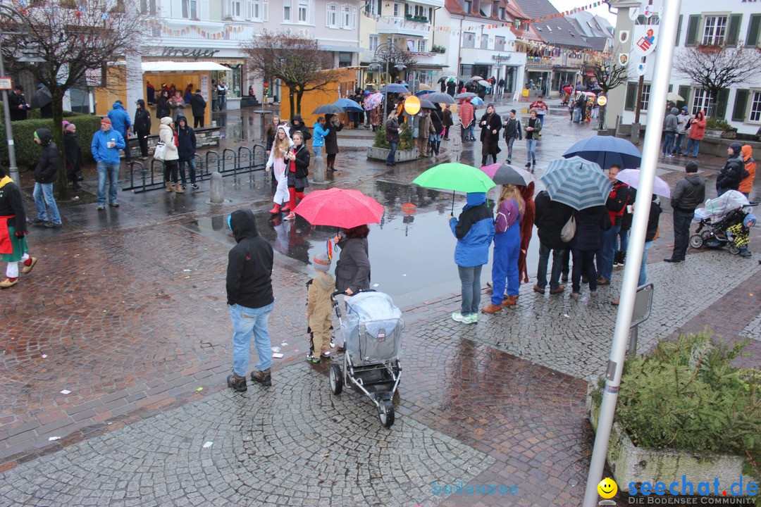 Fasnetsumzug - Fasching: Langenargen am Bodensee, 10.01.2016