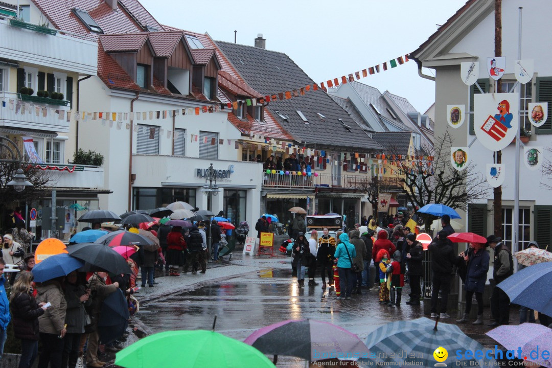 Fasnetsumzug - Fasching: Langenargen am Bodensee, 10.01.2016