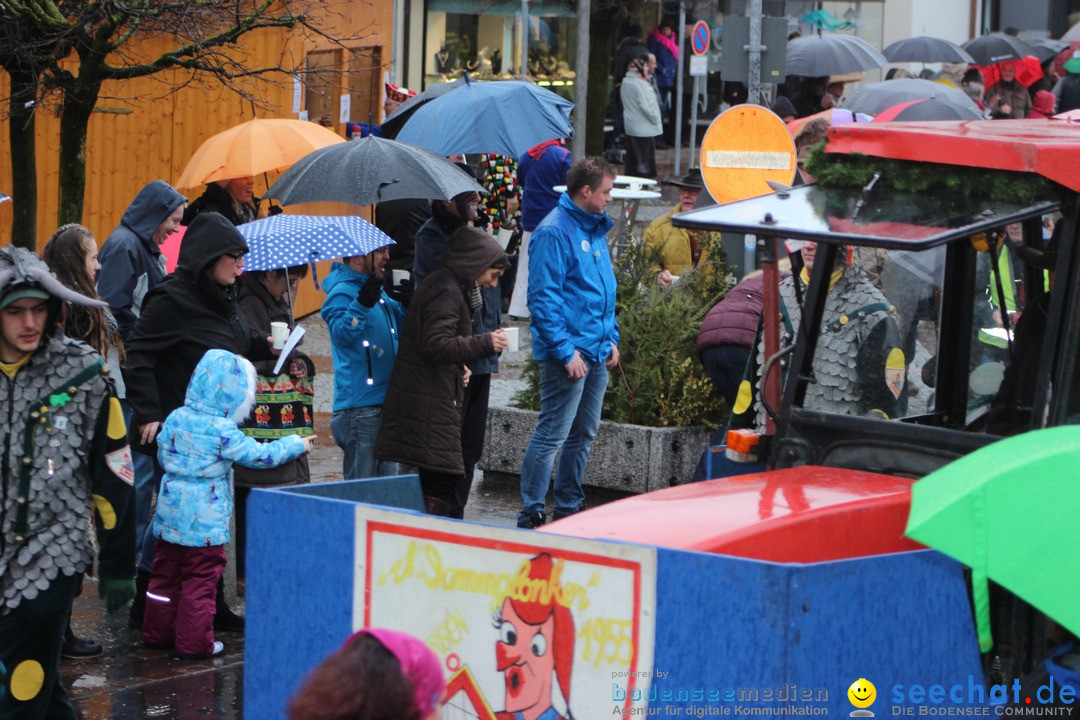 Fasnetsumzug - Fasching: Langenargen am Bodensee, 10.01.2016