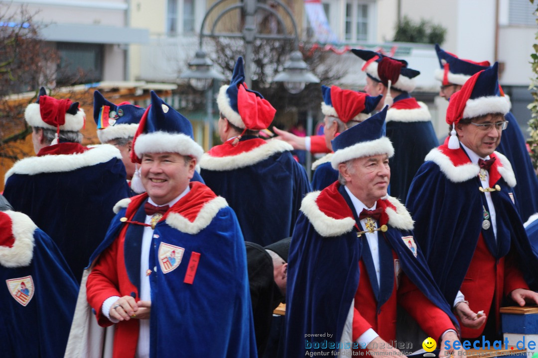 Fasnetsumzug - Fasching: Langenargen am Bodensee, 10.01.2016