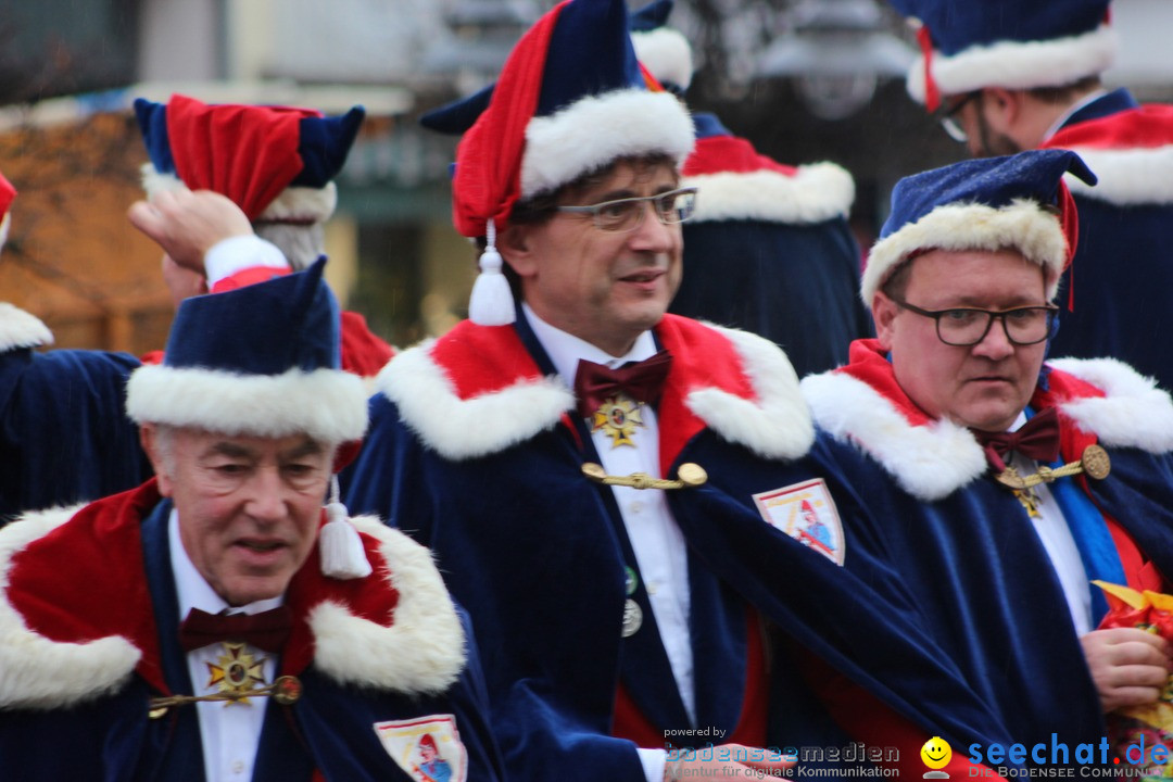 Fasnetsumzug - Fasching: Langenargen am Bodensee, 10.01.2016