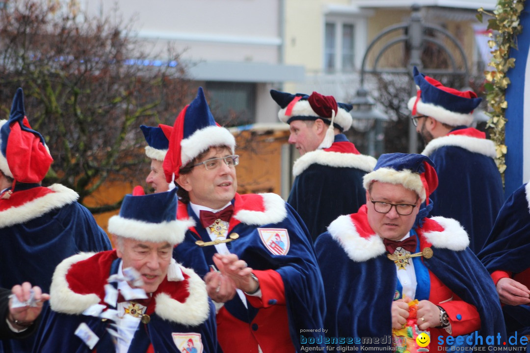 Fasnetsumzug - Fasching: Langenargen am Bodensee, 10.01.2016