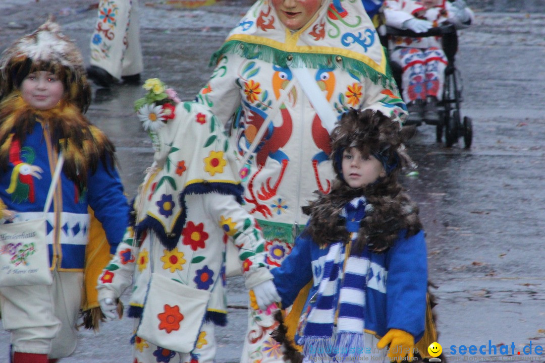 Fasnetsumzug - Fasching: Langenargen am Bodensee, 10.01.2016