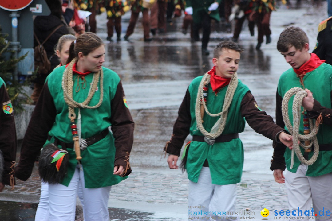 Fasnetsumzug - Fasching: Langenargen am Bodensee, 10.01.2016