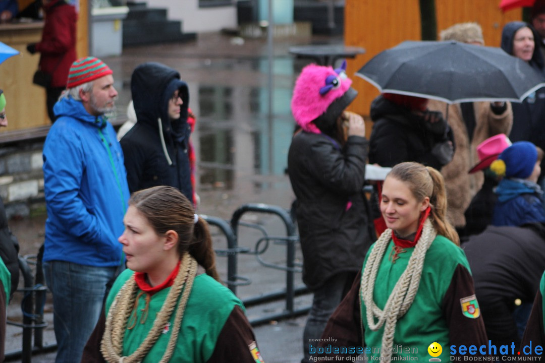 Fasnetsumzug - Fasching: Langenargen am Bodensee, 10.01.2016