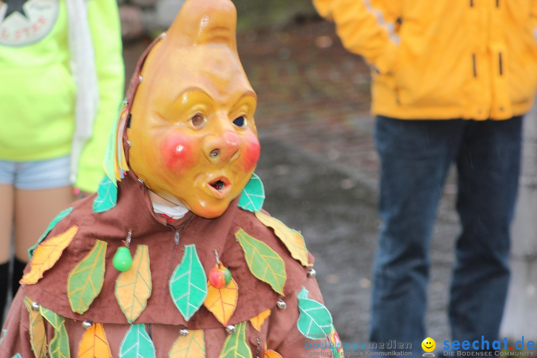 Fasnetsumzug - Fasching: Langenargen am Bodensee, 10.01.2016