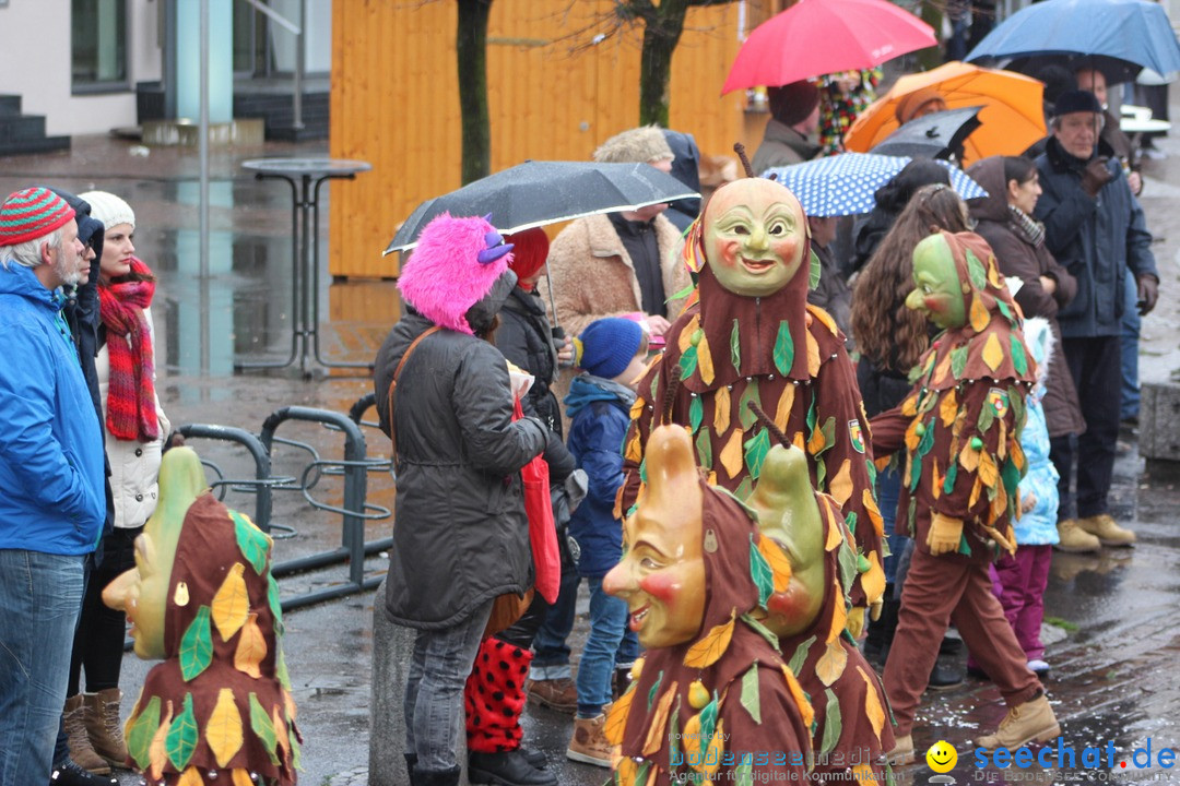 Fasnetsumzug - Fasching: Langenargen am Bodensee, 10.01.2016