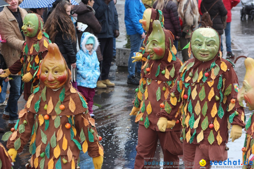 Fasnetsumzug - Fasching: Langenargen am Bodensee, 10.01.2016