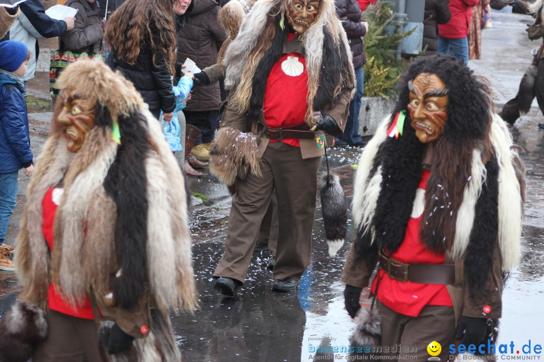 Fasnetsumzug - Fasching: Langenargen am Bodensee, 10.01.2016