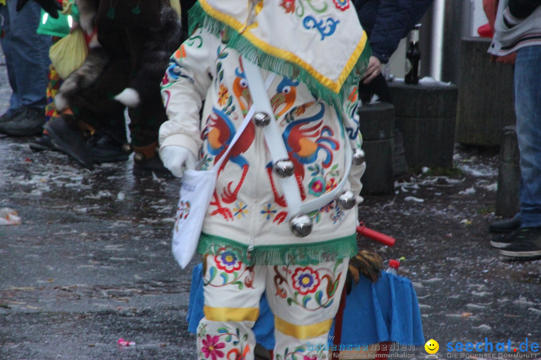 Fasnetsumzug - Fasching: Langenargen am Bodensee, 10.01.2016