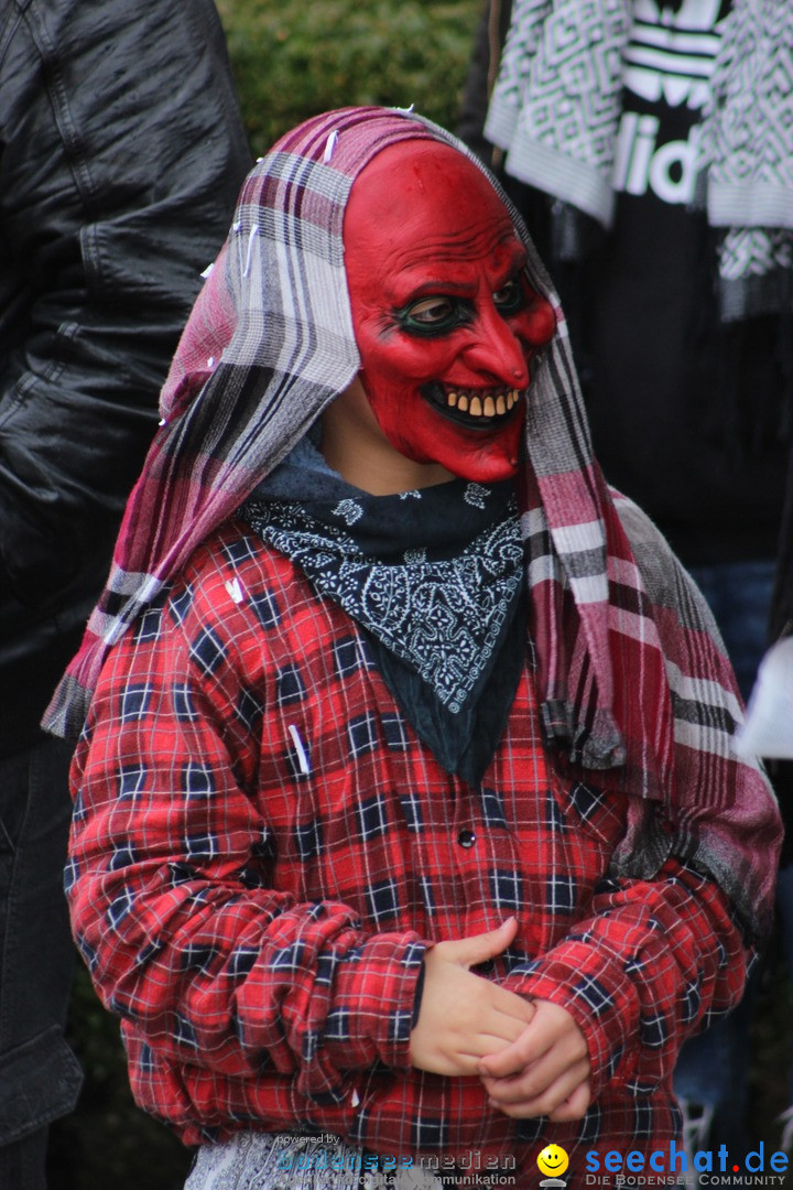 Fasnetsumzug - Fasching: Langenargen am Bodensee, 10.01.2016