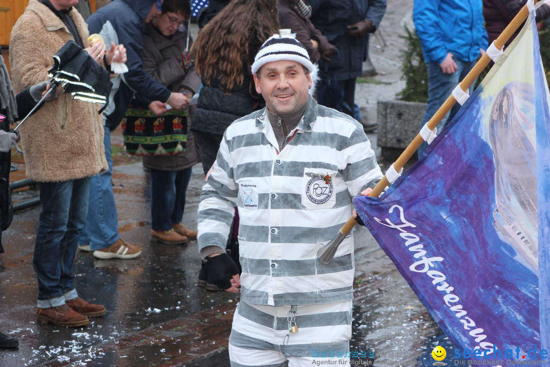 Fasnetsumzug - Fasching: Langenargen am Bodensee, 10.01.2016