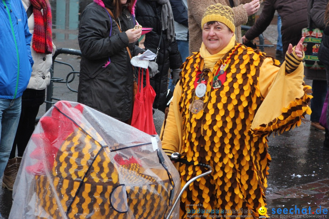 Fasnetsumzug - Fasching: Langenargen am Bodensee, 10.01.2016