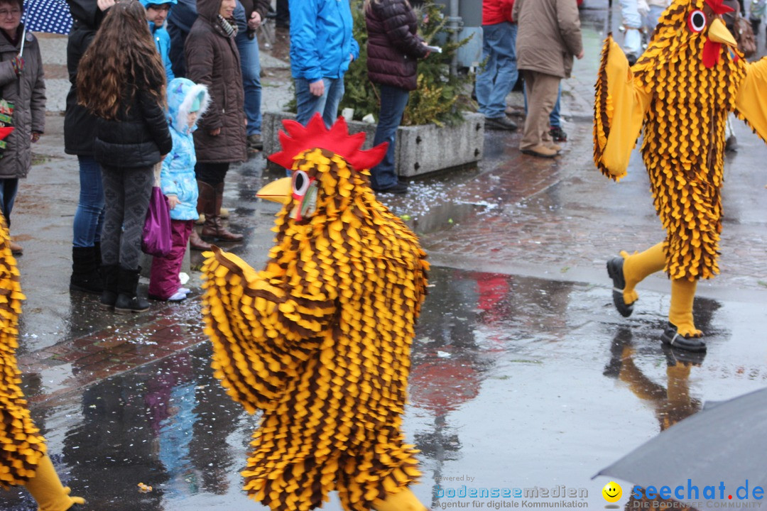 Fasnetsumzug - Fasching: Langenargen am Bodensee, 10.01.2016